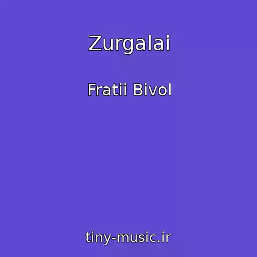 کاور آهنگ Zurgalai از Fratii Bivol