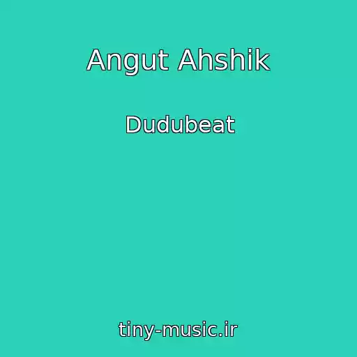 کاور آهنگ Angut Ahshik از Dudubeat