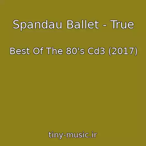 کاور آهنگ Spandau Ballet - True از Best Of The 80's Cd3 (2017)