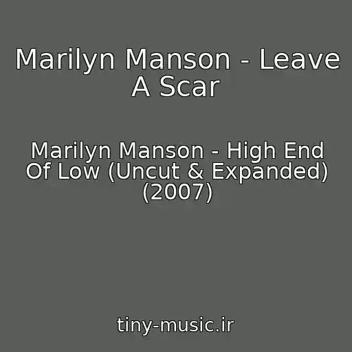 کاور آهنگ Marilyn Manson - Leave A Scar از Marilyn Manson - High End Of Low (Uncut & Expanded) (2007)