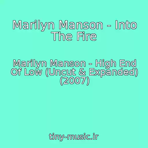 کاور آهنگ Marilyn Manson - Into The Fire از Marilyn Manson - High End Of Low (Uncut & Expanded) (2007)