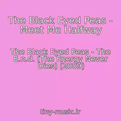 کاور آهنگ The Black Eyed Peas - Meet Me Halfway از The Black Eyed Peas - The E.n.d. (The Energy Never Dies) (2009)