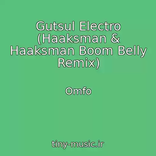 کاور آهنگ Gutsul Electro (Haaksman & Haaksman Boom Belly Remix) از Omfo