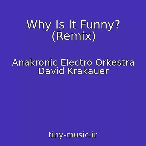 کاور آهنگ Why Is It Funny? (Remix) از Anakronic Electro Orkestra David Krakauer