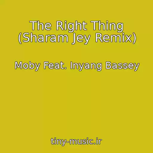 کاور آهنگ The Right Thing (Sharam Jey Remix) از Moby Feat. Inyang Bassey