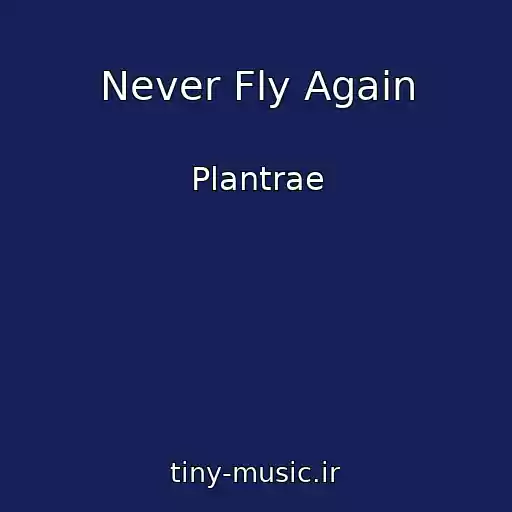 کاور آهنگ Never Fly Again از Plantrae