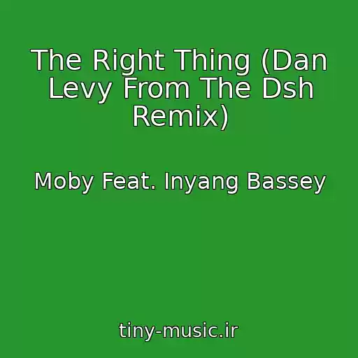 کاور آهنگ The Right Thing (Dan Levy From The Dsh Remix) از Moby Feat. Inyang Bassey