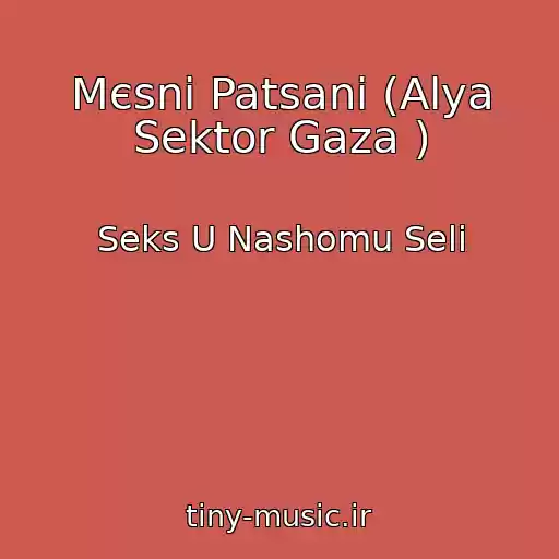 کاور آهنگ Mєsnі Patsani (Alya Sektor Gaza ) از Seks U Nashomu Selі