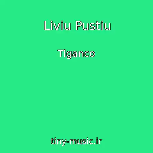 کاور آهنگ Liviu Pustiu از Tiganco
