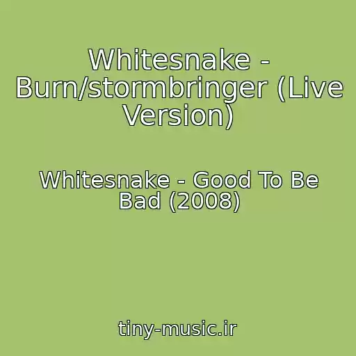 کاور آهنگ Whitesnake - Burn/stormbringer (Live Version) از Whitesnake - Good To Be Bad (2008)