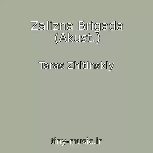 کاور آهنگ Zalіzna Brigada (Akust.) از Taras Zhitinskiy