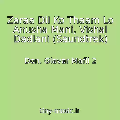 کاور آهنگ Zaraa Dil Ko Thaam Lo Anusha Mani, Vishal Dadlani (Saundtrek) از Don. Glavar Mafii 2