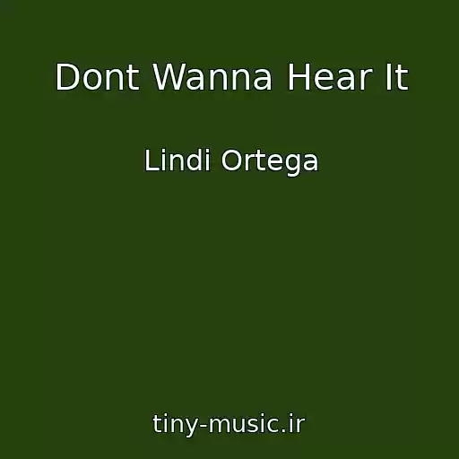 کاور آهنگ Dont Wanna Hear It از Lindi Ortega