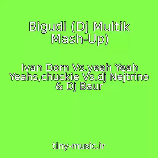 کاور آهنگ Bigudi (Dj Multik Mash-Up) از Ivan Dorn Vs.yeah Yeah Yeahs,chuckie Vs.dj Nejtrino & Dj Baur