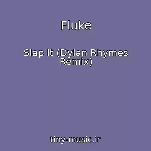 کاور آهنگ Fluke از Slap It (Dylan Rhymes Remix)