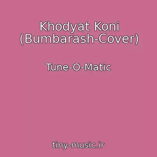 کاور آهنگ Khodyat Koni (Bumbarash-Cover) از Tune-O-Matic