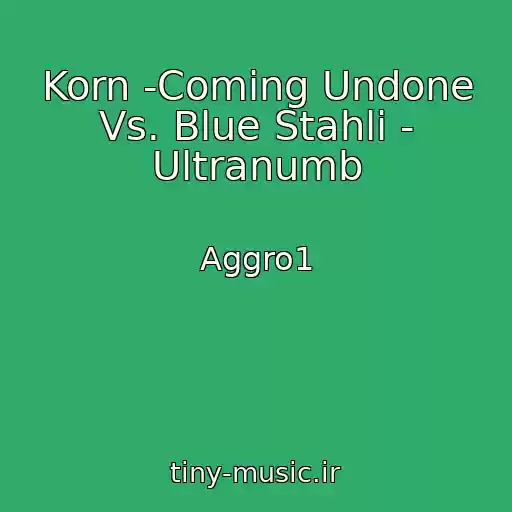 کاور آهنگ Korn -Coming Undone Vs. Blue Stahli - Ultranumb از Aggro1