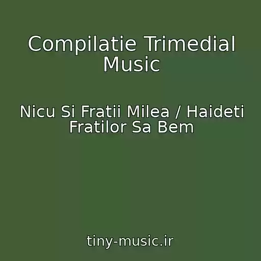 کاور آهنگ Compilatie Trimedial Music از Nicu Si Fratii Milea / Haideti Fratilor Sa Bem