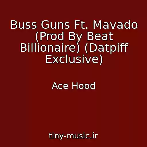 کاور آهنگ Buss Guns Ft. Mavado (Prod By Beat Billionaire) (Datpiff Exclusive) از Ace Hood