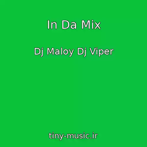 کاور آهنگ In Da Mix از Dj Maloy Dj Viper