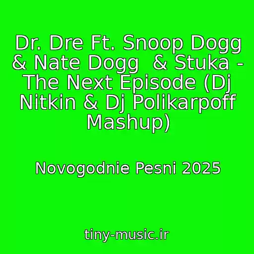 کاور آهنگ Dr. Dre Ft. Snoop Dogg & Nate Dogg  & Stuka - The Next Episode (Dj Nitkin & Dj Polikarpoff Mashup) از Novogodnie Pesni 2025