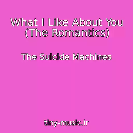کاور آهنگ What I Like About You (The Romantics) از The Suicide Machines