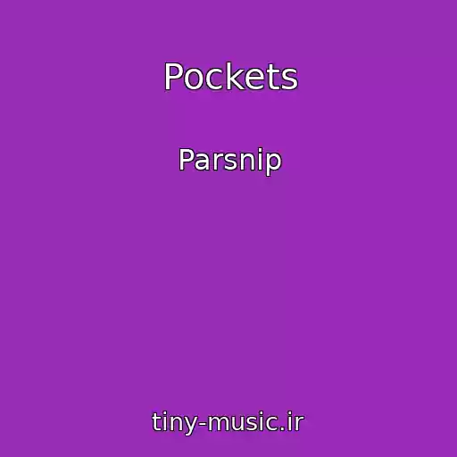 کاور آهنگ Pockets از Parsnip