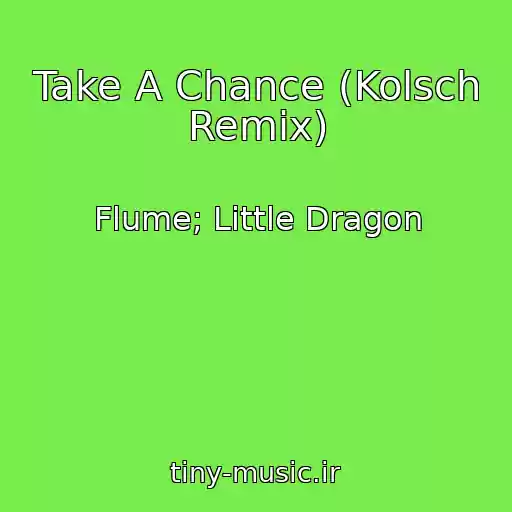کاور آهنگ Take A Chance (Kolsch Remix) از Flume; Little Dragon