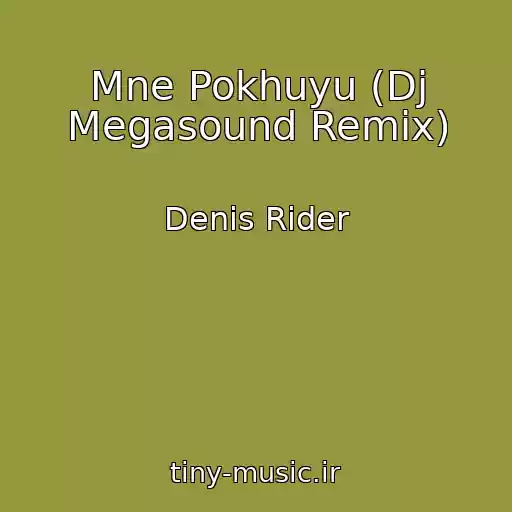 کاور آهنگ Mne Pokhuyu (Dj Megasound Remix) از Denis Rider
