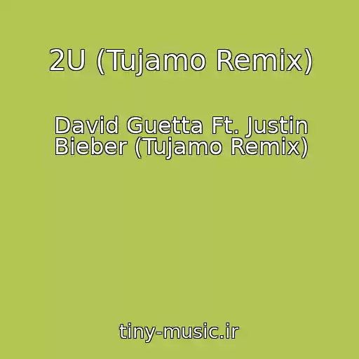 کاور آهنگ 2U (Tujamo Remix) از David Guetta Ft. Justin Bieber (Tujamo Remix)