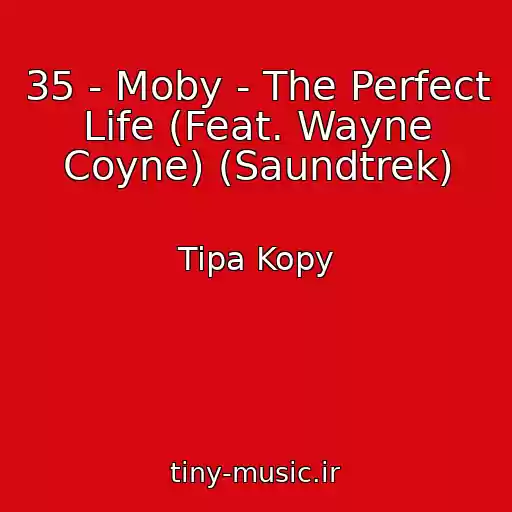کاور آهنگ 35 - Moby - The Perfect Life (Feat. Wayne Coyne) (Saundtrek) از Tipa Kopy