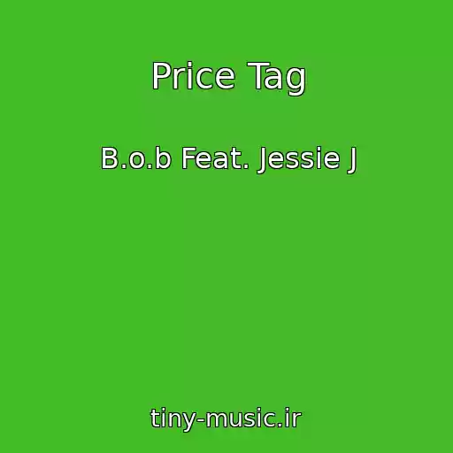 کاور آهنگ Price Tag از B.o.b Feat. Jessie J