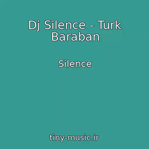 کاور آهنگ Dj Silence - Turk Baraban از Silence