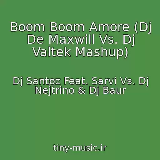 کاور آهنگ Boom Boom Amore (Dj De Maxwill Vs. Dj Valtek Mashup) از Dj Santoz Feat. Sarvi Vs. Dj Nejtrino & Dj Baur