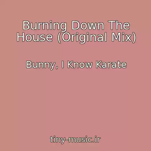 کاور آهنگ Burning Down The House (Original Mix) از Bunny, I Know Karate