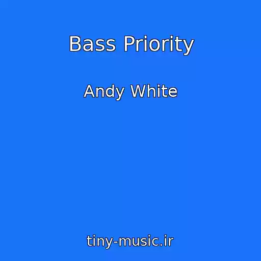 کاور آهنگ Bass Priority از Andy White