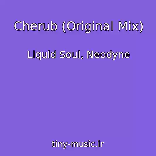 کاور آهنگ Cherub (Original Mix) از Liquid Soul, Neodyne