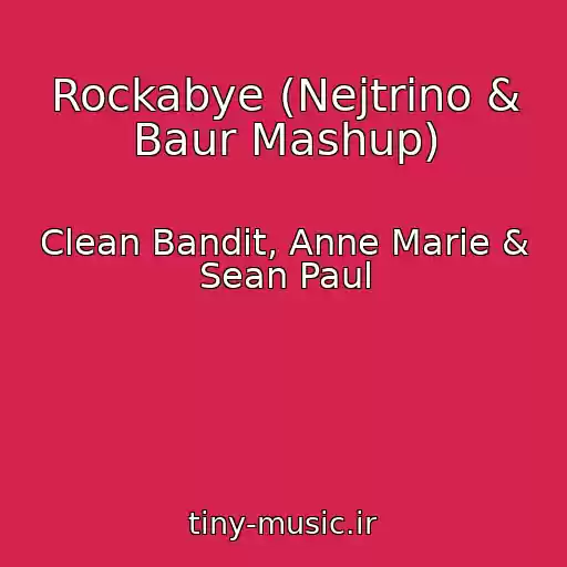 کاور آهنگ Rockabye (Nejtrino & Baur Mashup) از Clean Bandit, Anne Marie & Sean Paul