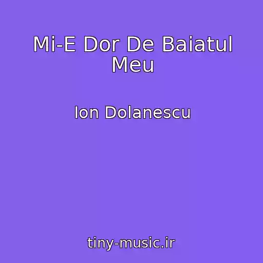 کاور آهنگ Mi-E Dor De Baiatul Meu از Ion Dolanescu
