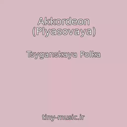 کاور آهنگ Akkordeon (Plyasovaya) از Tsyganskaya Polka