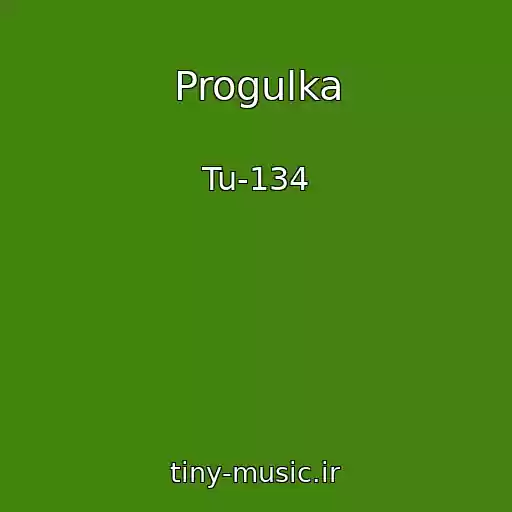 کاور آهنگ Progulka از Tu-134