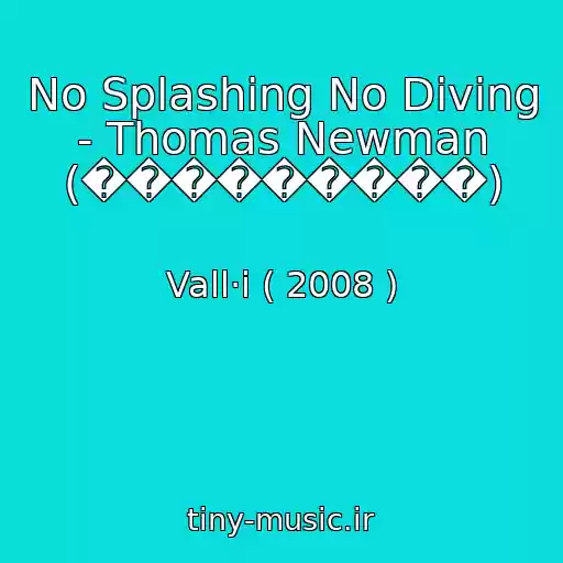 کاور آهنگ No Splashing No Diving - Thomas Newman (���������) از Vall·i ( 2008 )