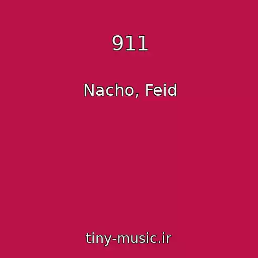کاور آهنگ 911 از Nacho, Feid