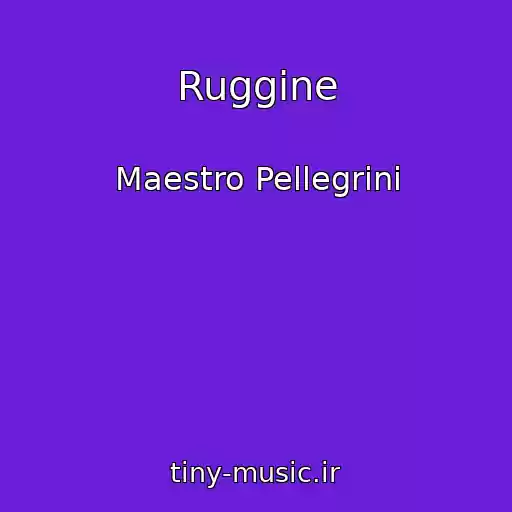 کاور آهنگ Ruggine از Maestro Pellegrini