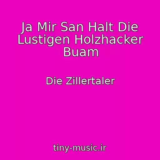 کاور آهنگ Ja Mir San Halt Die Lustigen Holzhacker Buam از Die Zillertaler