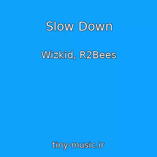 کاور آهنگ Slow Down از Wizkid, R2Bees