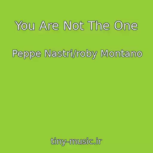 کاور آهنگ You Are Not The One از Peppe Nastri/roby Montano
