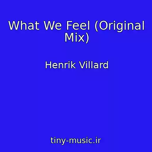 کاور آهنگ What We Feel (Original Mix) از Henrik Villard