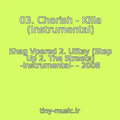 کاور آهنگ 03. Cherish - Killa (Instrumental) از Shag Vpered 2. Ulitsy (Step Up 2. The Streets) -Instrumental- - 2008