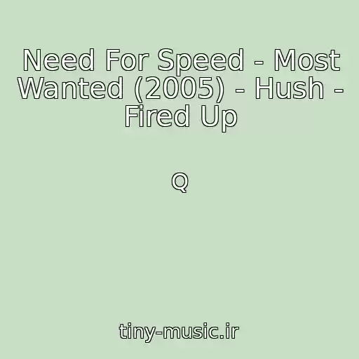 کاور آهنگ Need For Speed - Most Wanted (2005) - Hush - Fired Up از Q